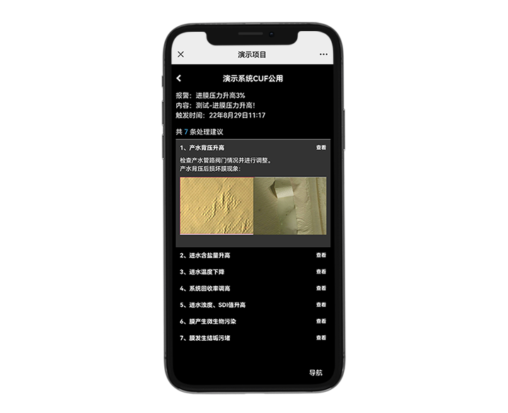东升国际(中国区) - 官方网站