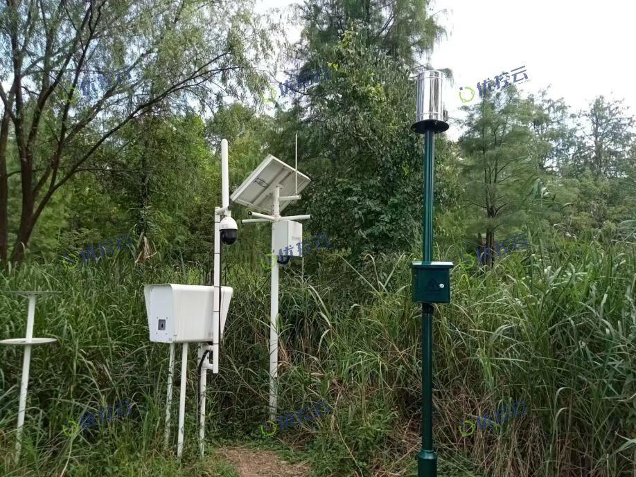 东升国际(中国区) - 官方网站